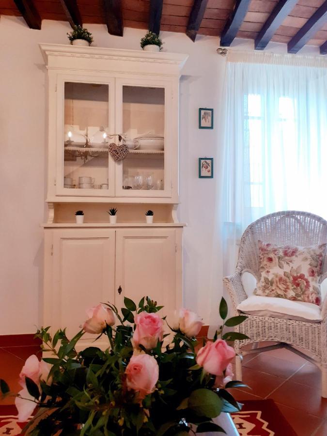 Rustico Degli Ulivi Βίλα Vallecchia Εξωτερικό φωτογραφία